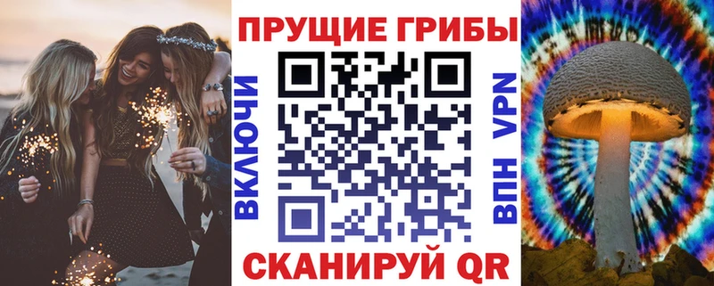 Псилоцибиновые грибы Cubensis  Купить  Ардатов 